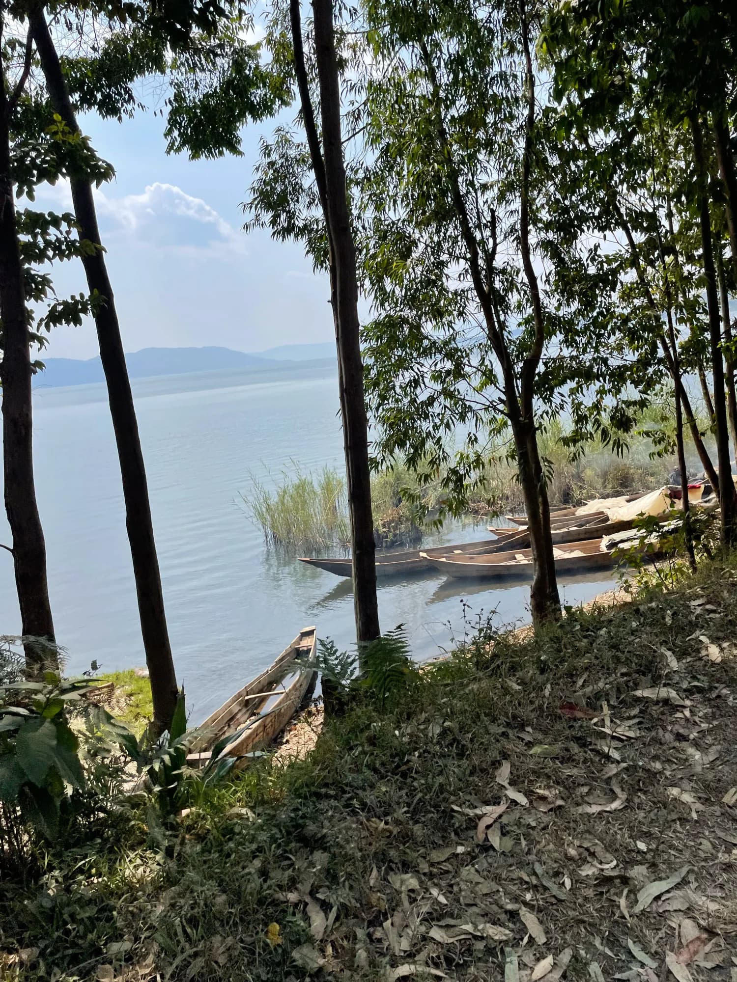Velvet Isle, farm and origin photo 3