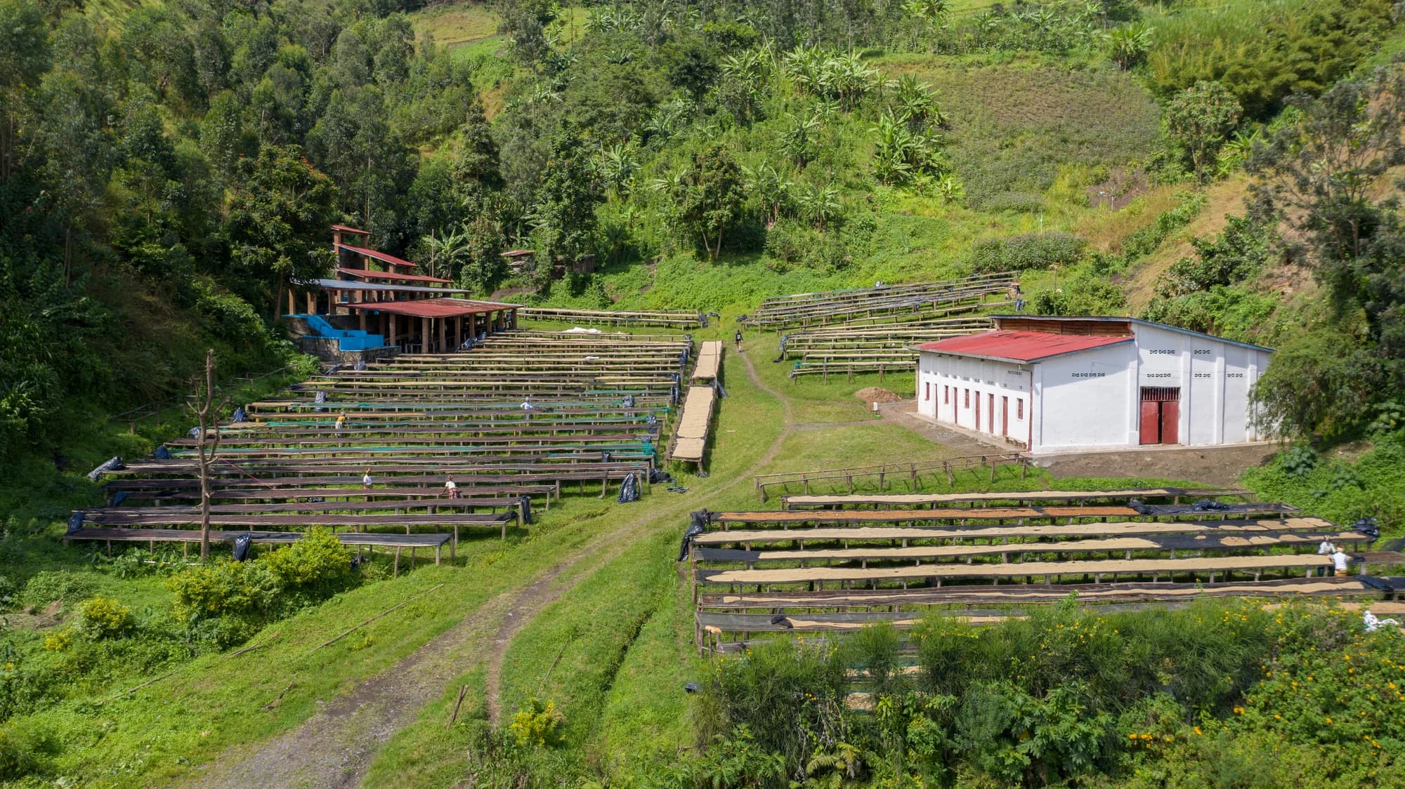 Velvet Isle, farm and origin photo 9